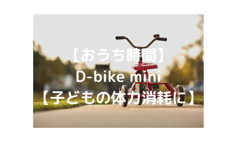 【1歳のおもちゃ】子どもの体力消耗にD-bike mini 